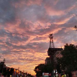 欧美一交一乱一交免费看
