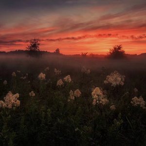 日本裸体捆绑㊙️网站
