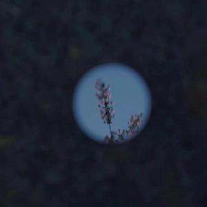 中国女乳奴隶护士
