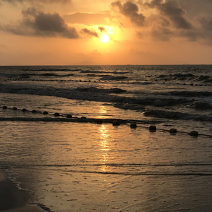 男生把小j插进女生的小j里面视频网站
