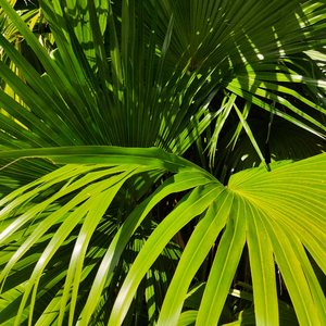 亚洲校园欧美国产另类
